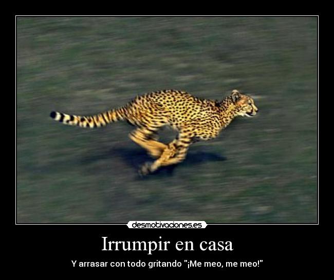 Irrumpir en casa - 