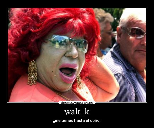 walt_k - ¡¡me tienes hasta el coño!!