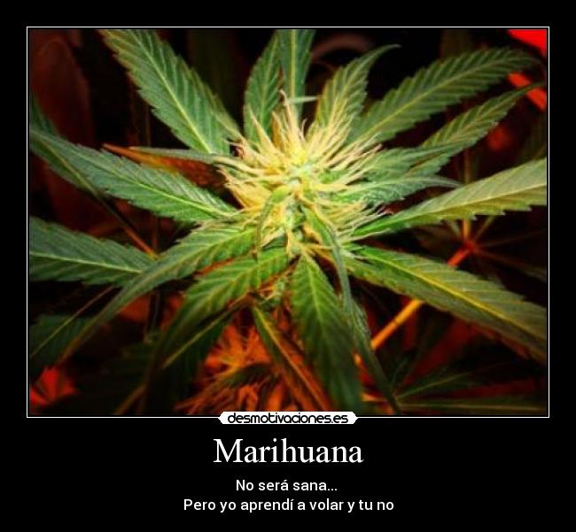 Marihuana - No será sana... 
Pero yo aprendí a volar y tu no