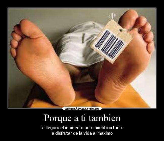 carteles momento desmotivaciones