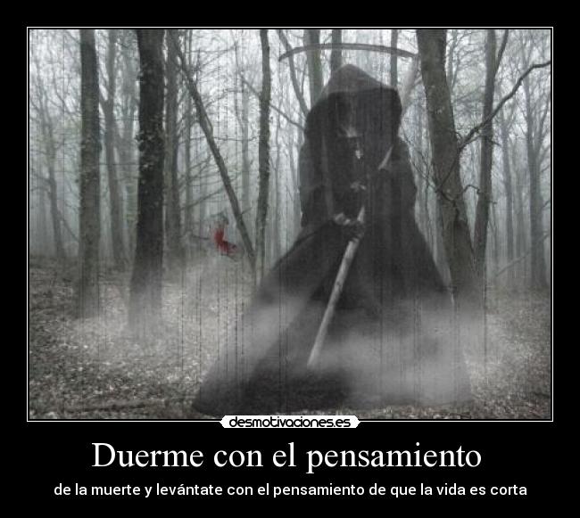 carteles albora desmotivaciones