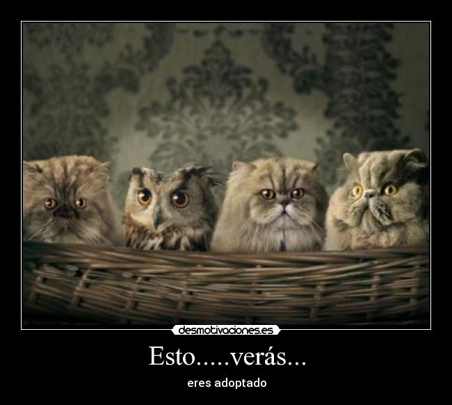 Esto.....verás... -