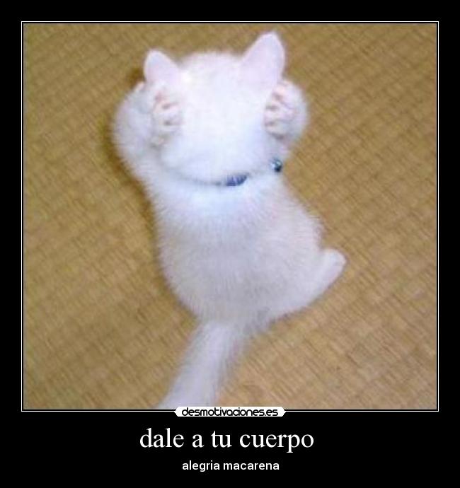 dale a tu cuerpo -