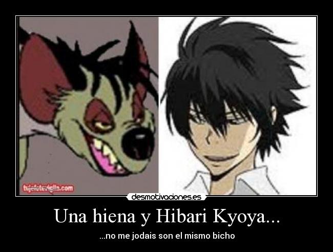 Una hiena y Hibari Kyoya... - ...no me jodais son el mismo bicho