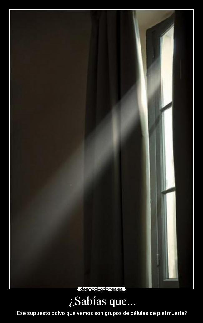 ¿Sabías que... - Ese supuesto polvo que vemos son grupos de células de piel muerta?