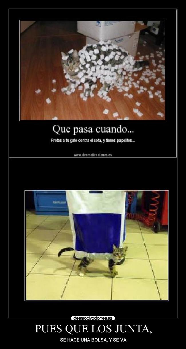 PUES QUE LOS JUNTA, - SE HACE UNA BOLSA, Y SE VA