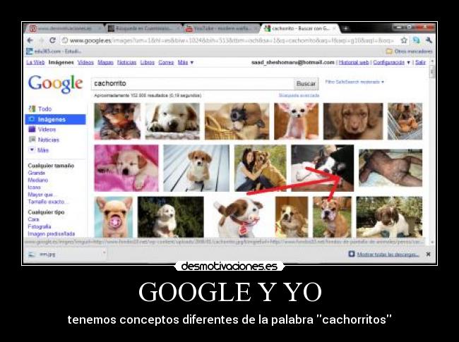 GOOGLE Y YO - tenemos conceptos diferentes de la palabra cachorritos