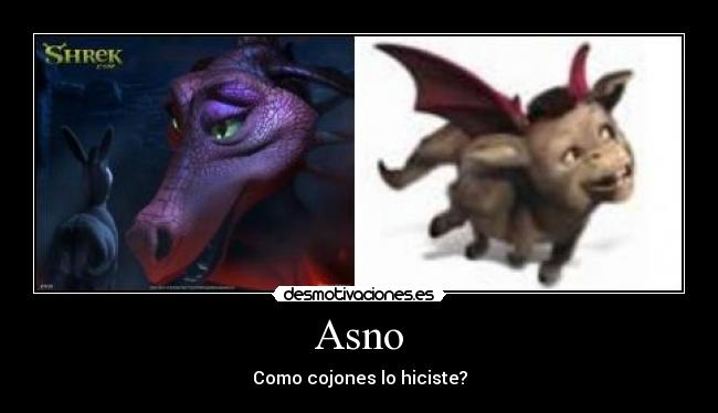 Asno - Como cojones lo hiciste?
