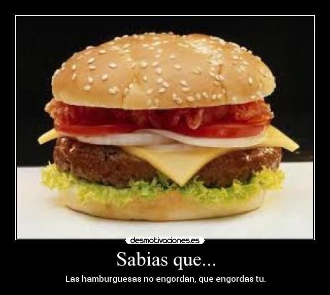 Sabias que... - Las hamburguesas no engordan, que engordas tu.