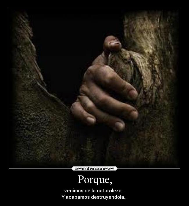 Porque, -