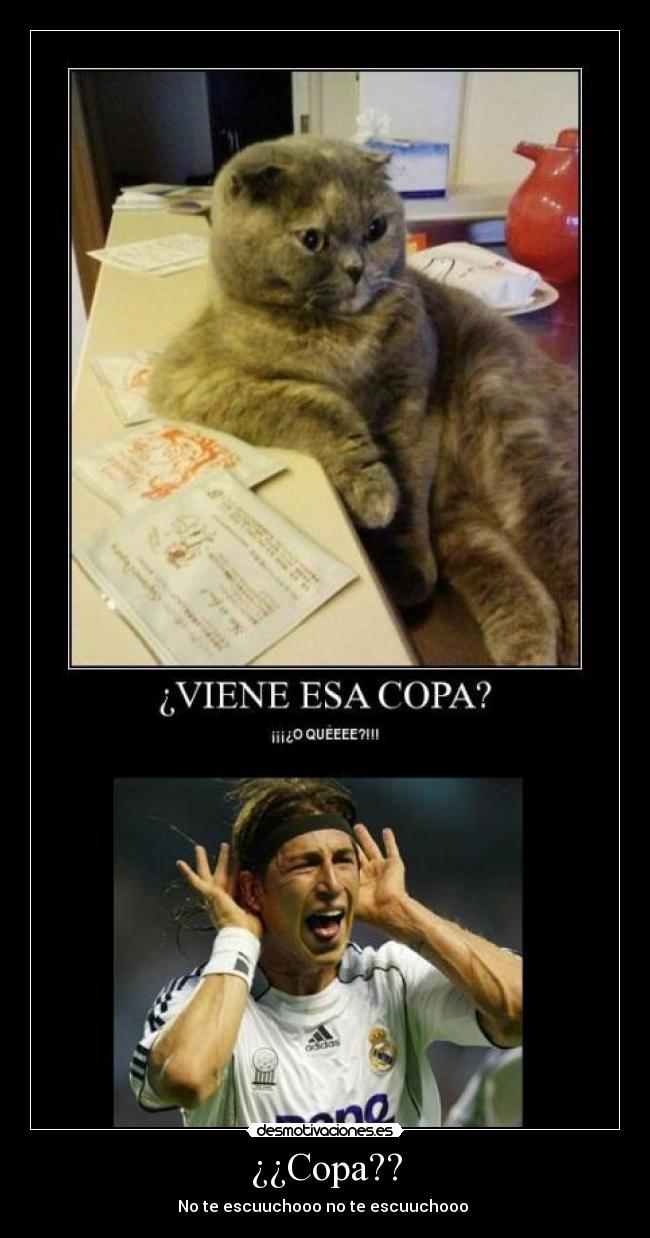 carteles copa sergio ramos desmotivaciones