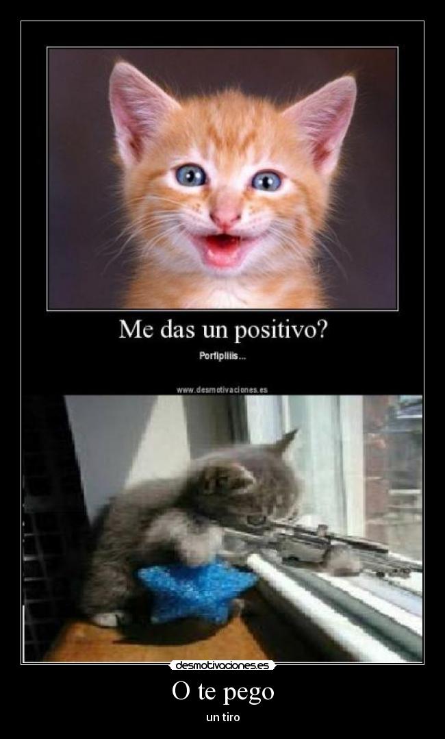 carteles tiro pego desmotivaciones