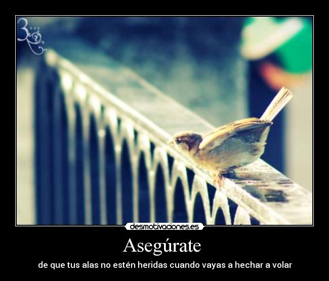 Asegúrate  - 