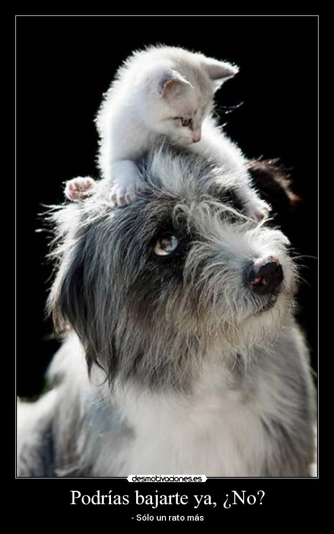 Podrías bajarte ya, ¿No? -