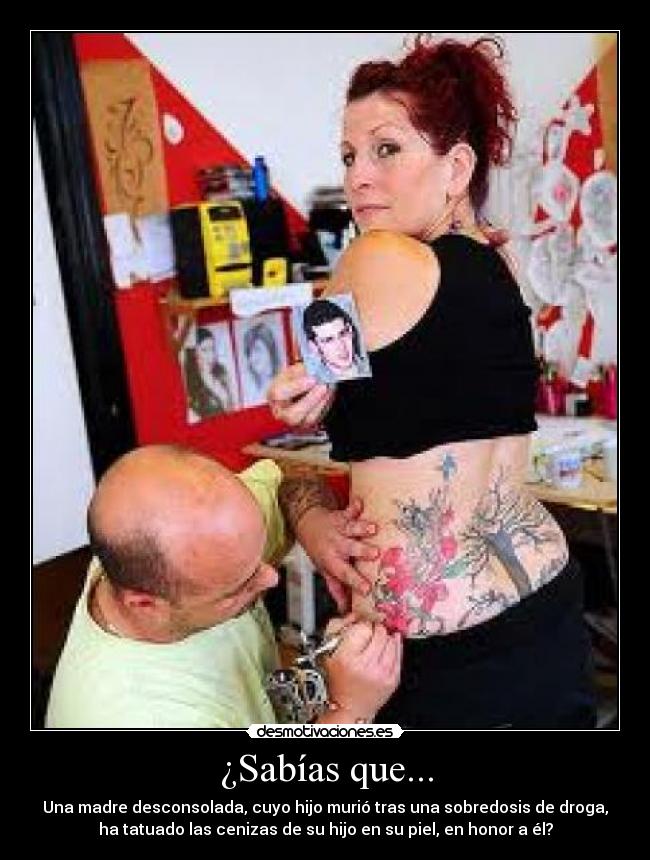 carteles ysr5t desmotivaciones