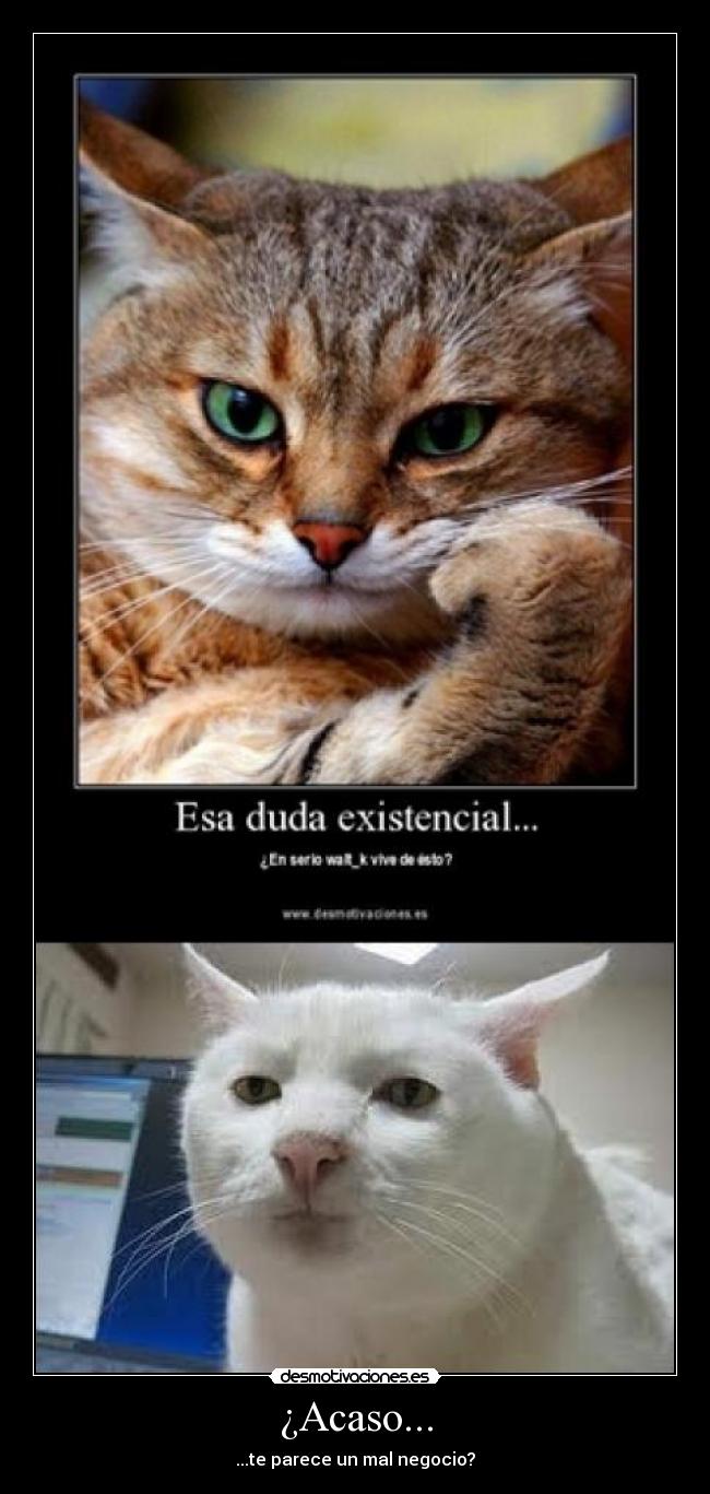 ¿Acaso... - ...te parece un mal negocio?