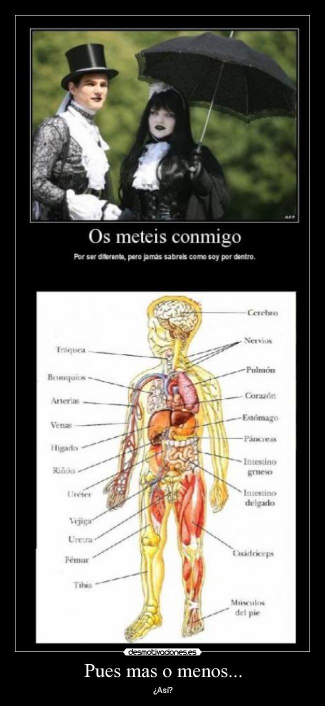 Pues mas o menos... -