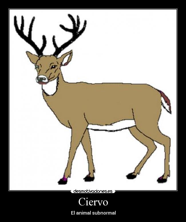 Ciervo - El animal subnormal