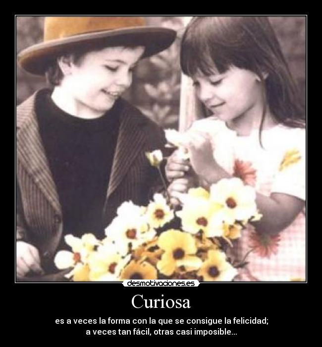 Curiosa -