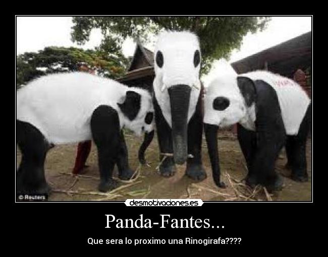 Panda-Fantes... - Que sera lo proximo una Rinogirafa????