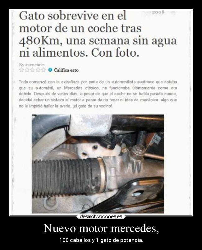 Nuevo motor mercedes, - 