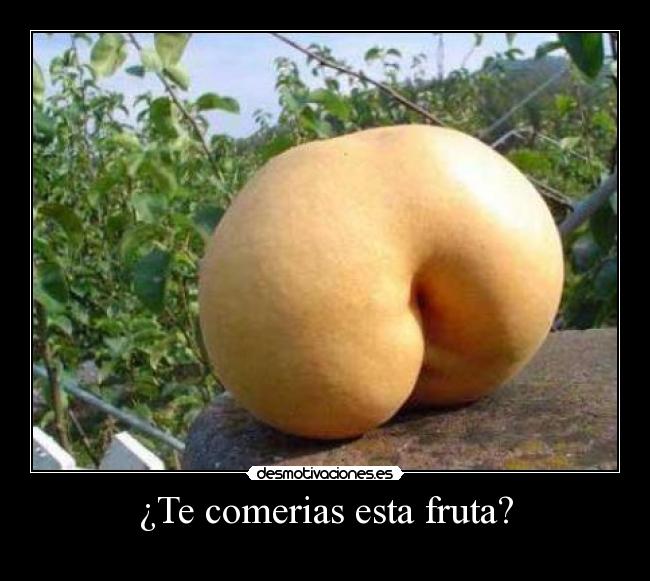 carteles sanny desmotivaciones