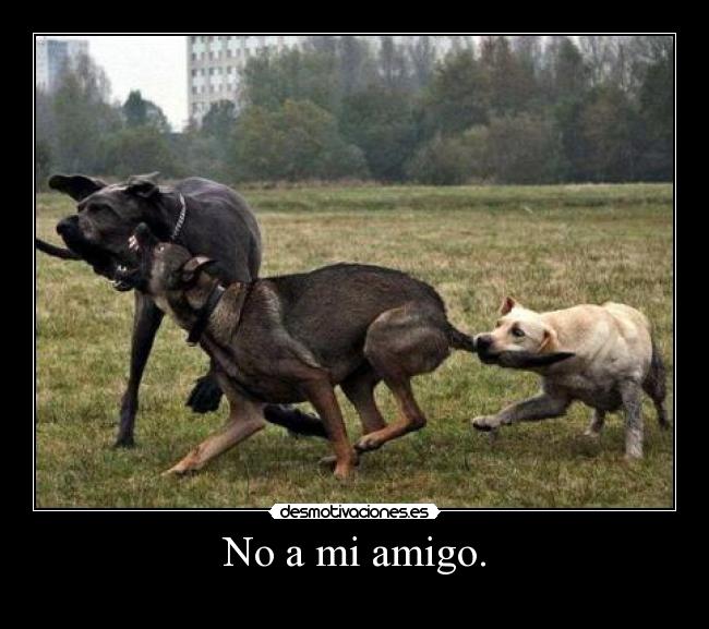 No a mi amigo. -