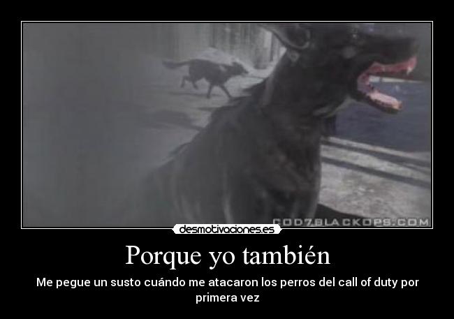 Porque yo también - 