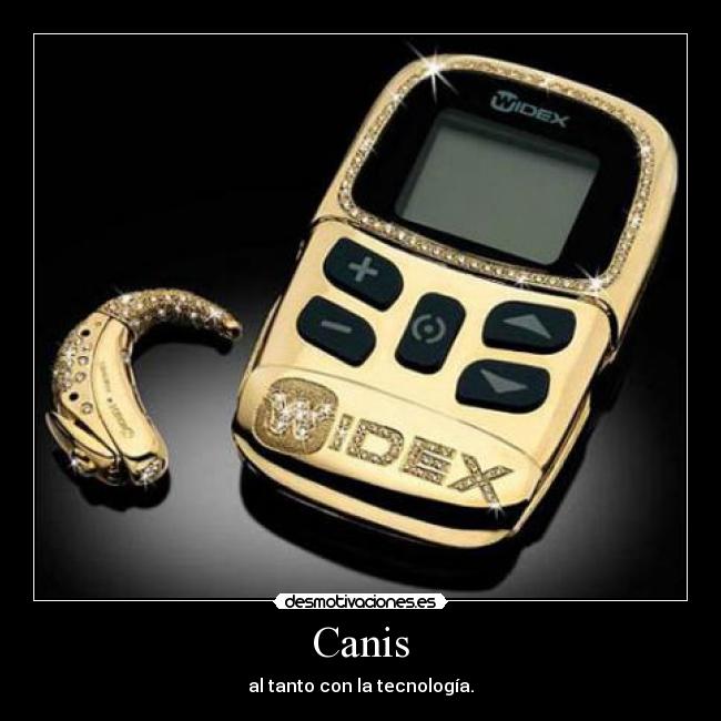 Canis - al tanto con la tecnología.