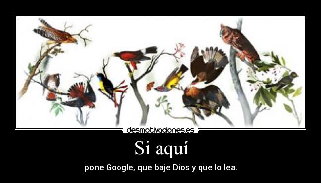 Si aquí - pone Google, que baje Dios y que lo lea.