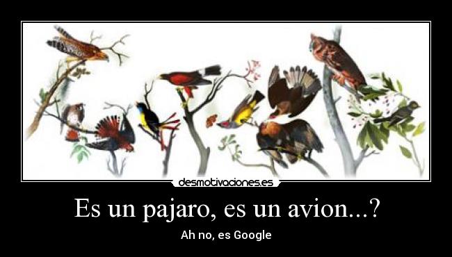 Es un pajaro, es un avion...? - 