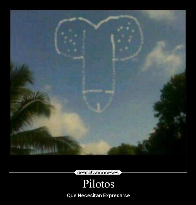 Pilotos -