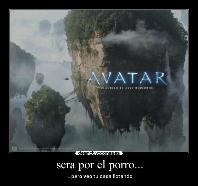 sera por el porro... - 