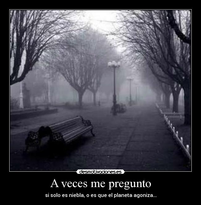 carteles niebla desmotivaciones