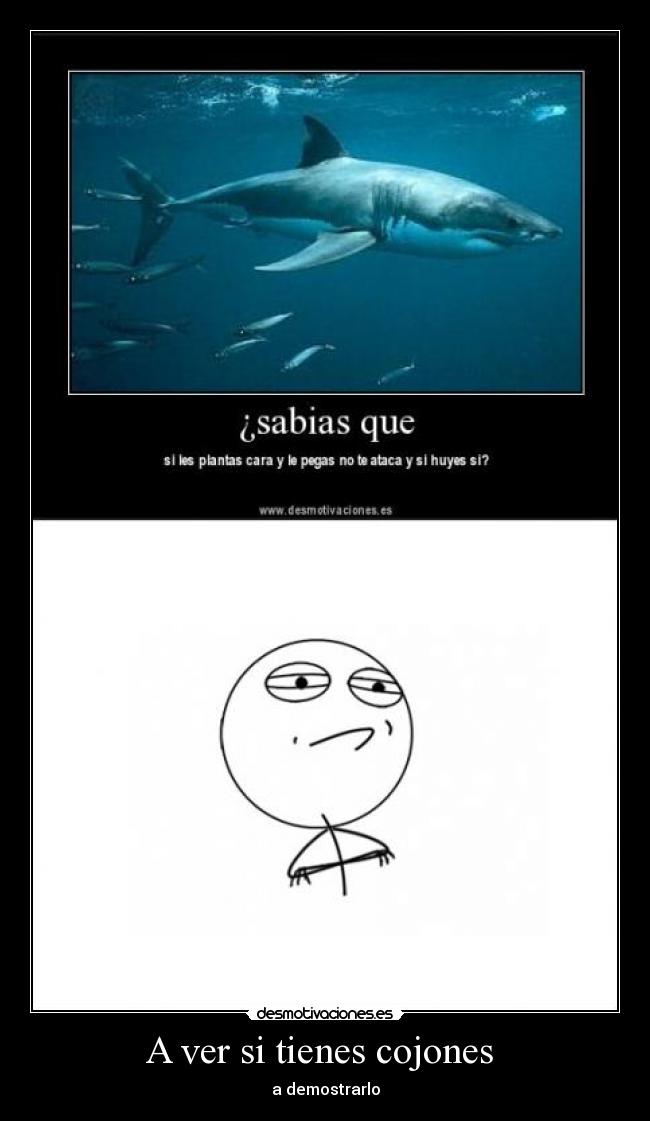 A ver si tienes cojones  - a demostrarlo