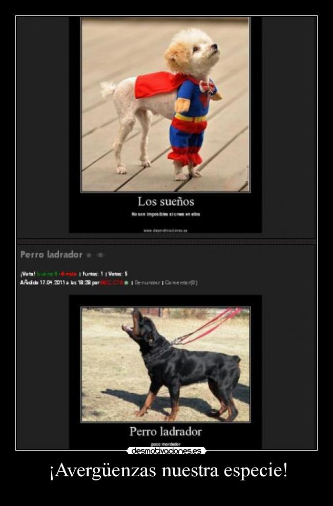 ¡Avergüenzas nuestra especie! -