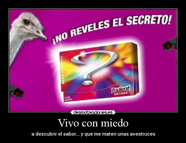 Vivo con miedo - a descubrir el sabor... y que me maten unas avestruces