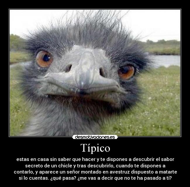 Típico - 