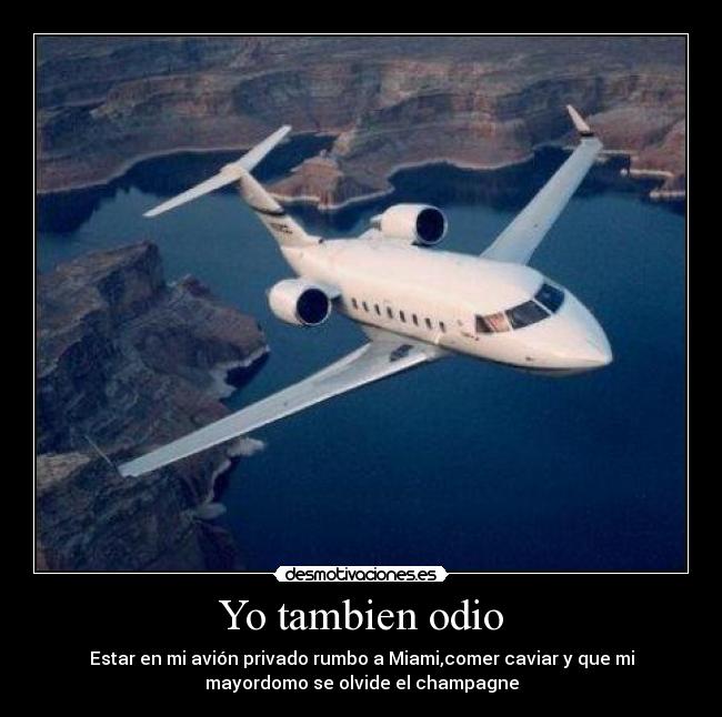 carteles odio champagne desmotivaciones