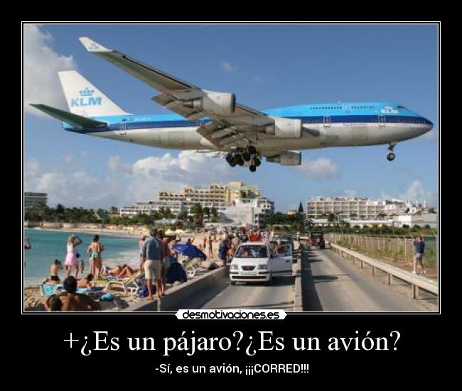 carteles avion playa turistas pajaro volando desmotivaciones