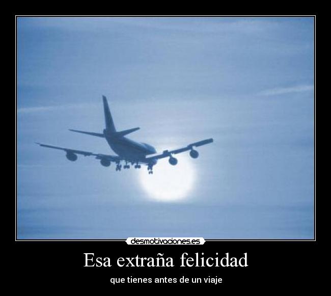 Esa extraña felicidad -