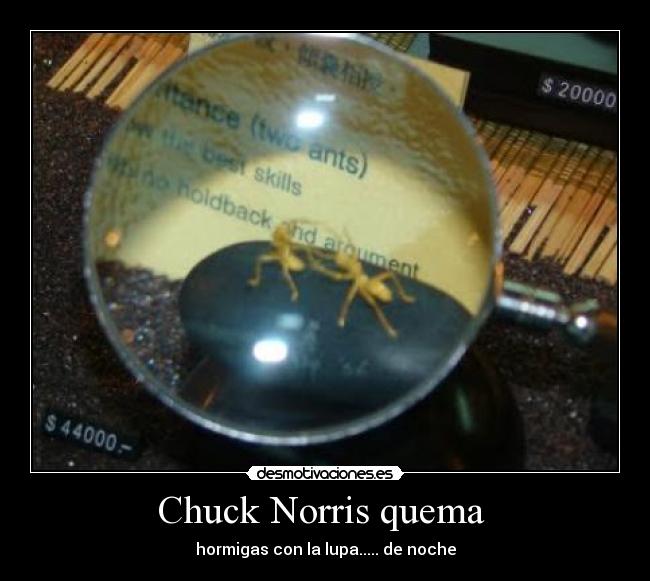 Chuck Norris quema  - hormigas con la lupa..... de noche