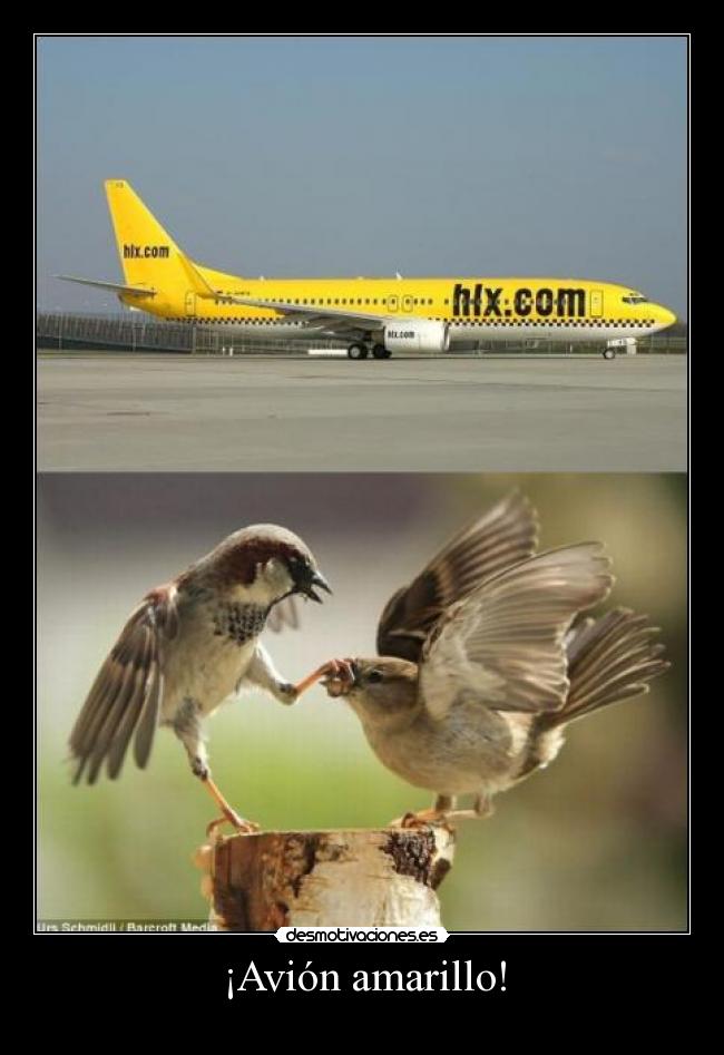 ¡Avión amarillo! - 