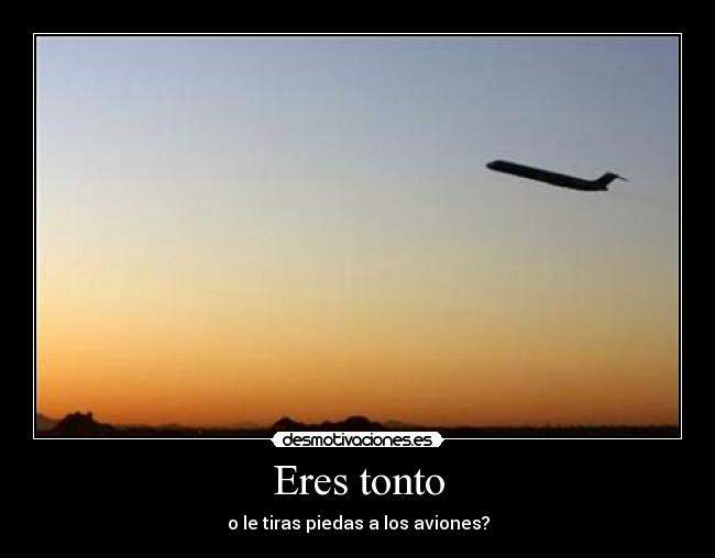 Eres tonto -