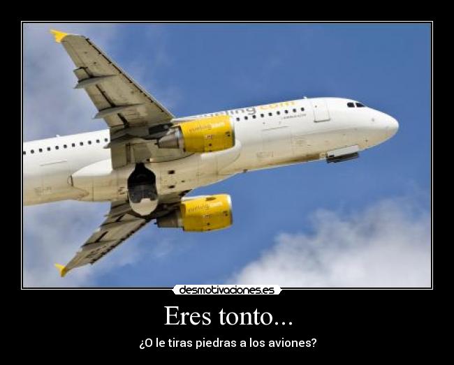 Eres tonto... - 