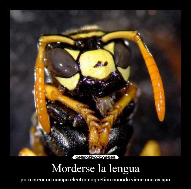 Morderse la lengua - 