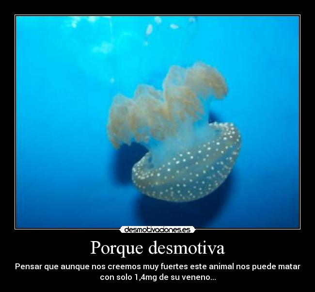 Porque desmotiva - Pensar que aunque nos creemos muy fuertes este animal nos puede matar
con solo 1,4mg de su veneno...