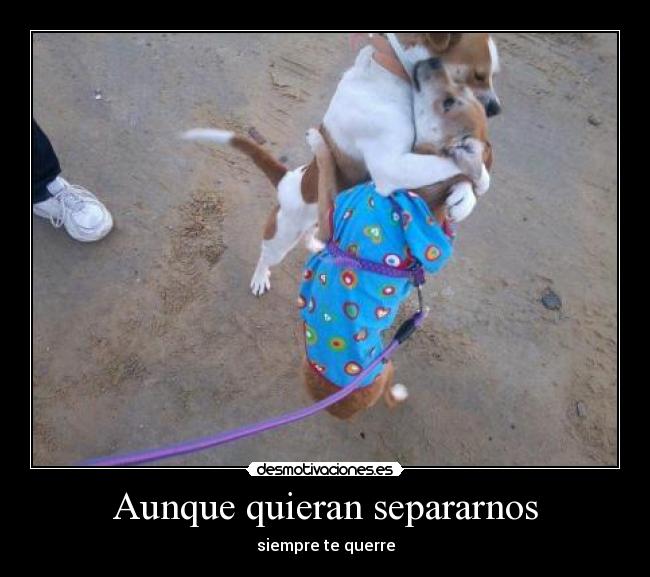Aunque quieran separarnos - siempre te querre