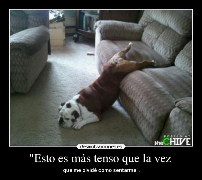 Esto es más tenso que la vez -