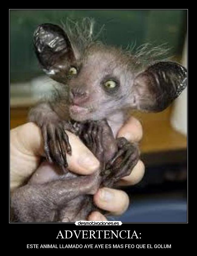 carteles kimary desmotivaciones